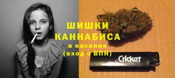 apvp Алзамай